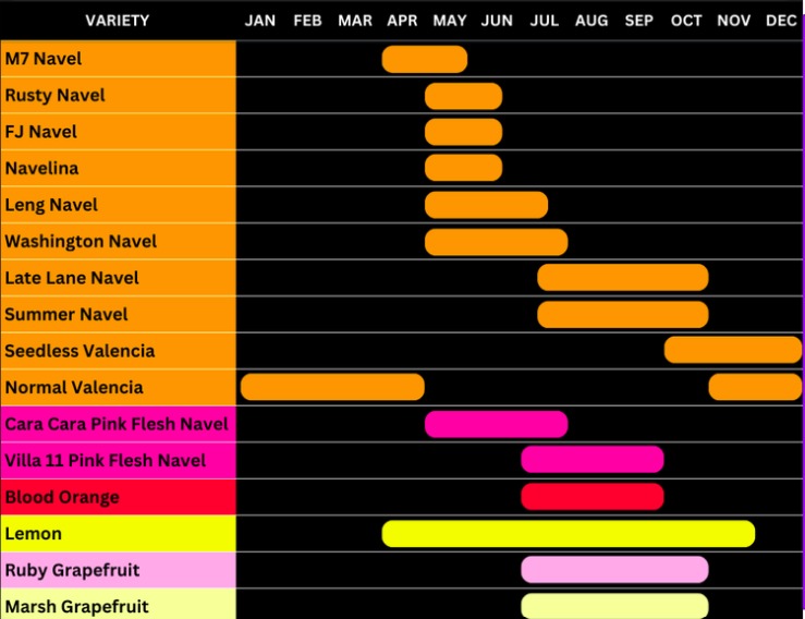 Mario's Packhouse variety calendar – seasonal availability of Navel, Valencia, Cara Cara, Blood Orange, Lemon, Ruby and Marsh Grapefruit